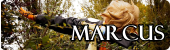 Galeria zdjęć z konwentu Japanicon_2016 by Marcus japanicon marcus